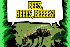 Beees