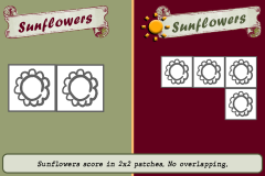 Sunflower-A