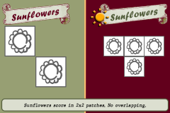 Sunflower-B